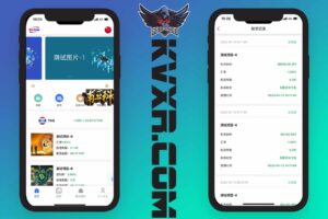 BaiDao version internationale 14 langues code source du projet financier/banque d'alimentation fonds de cinéma et de télévision change système d'investissement en monnaie financière/recharge USDT