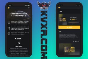 سلسلة BSC العامة DAPP كود المصدر NFT ونظام منصة التداول