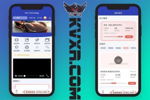 Financial management system source code integration IM communication/multiple rebate models/metaverse/digital cultural tourism/digital collections/new energy